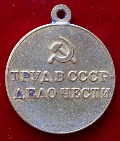 z Donbass r.jpg