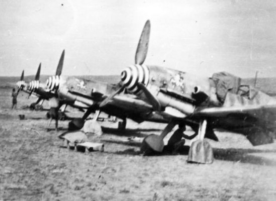 RM2.jpg