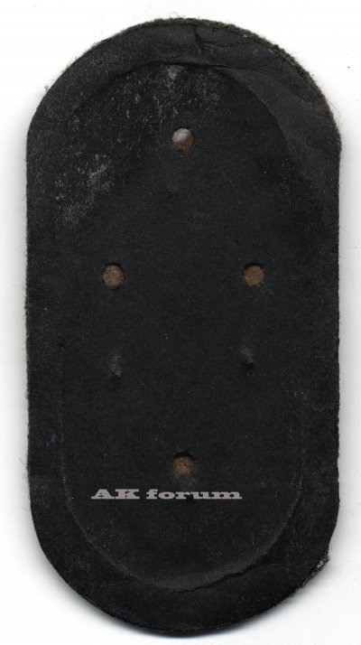 AP-5-R copy.jpg