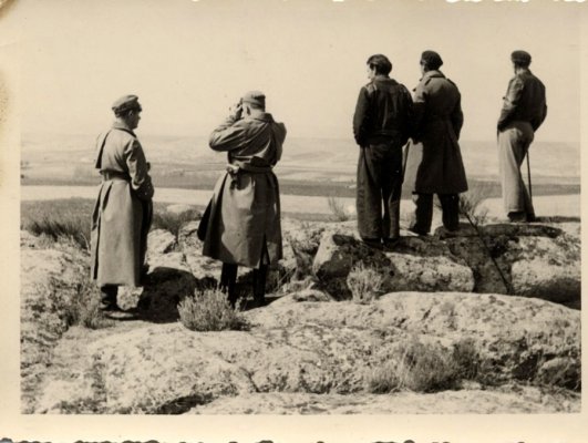 LC-2.jpg