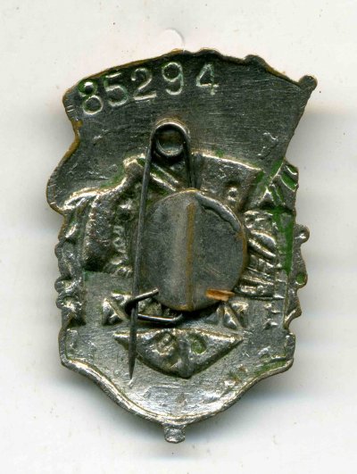85294р.jpg