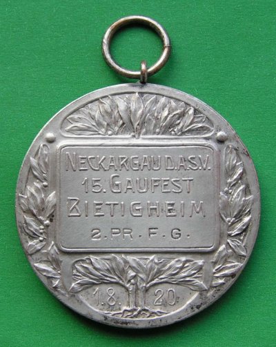 5.JPG