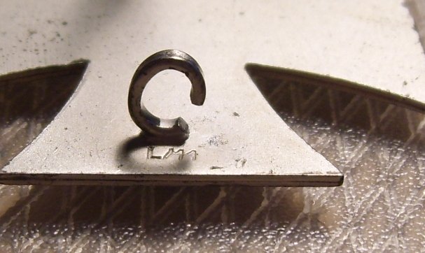 DSCI5251.JPG