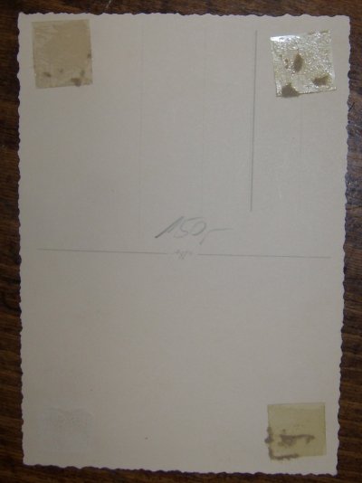 DSCI5260.JPG