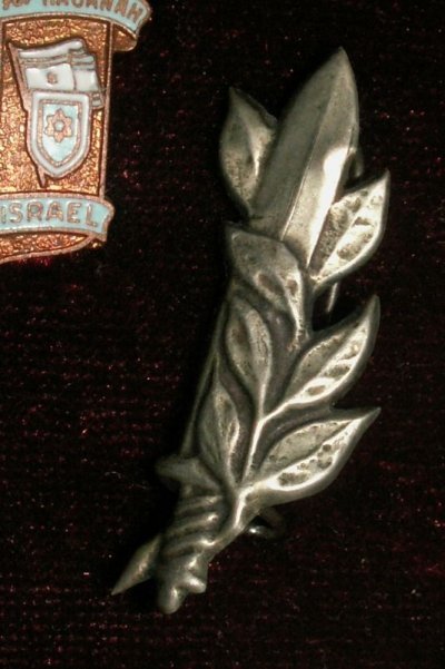 PICT2629.JPG