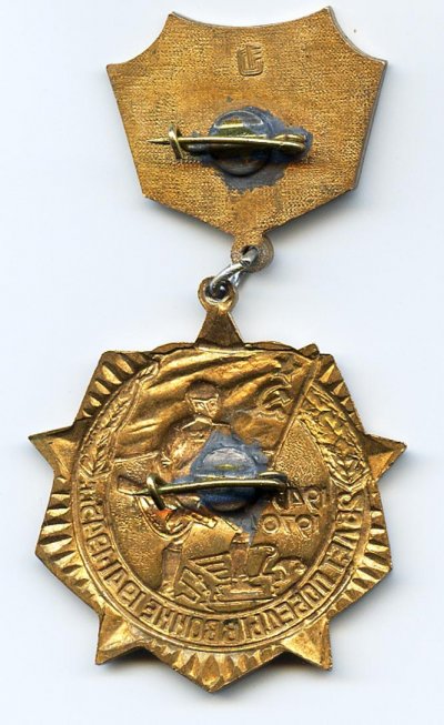 МЭПРК 2 заколки.jpg