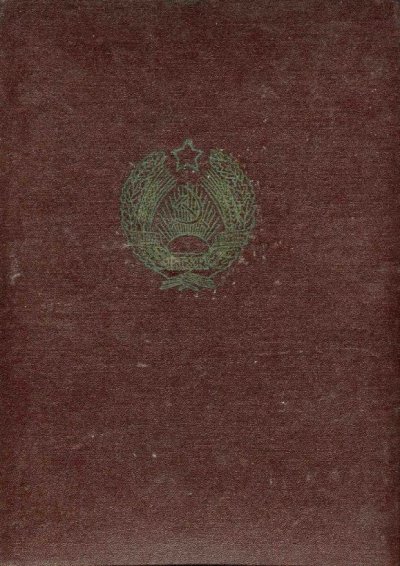 img355м.jpg