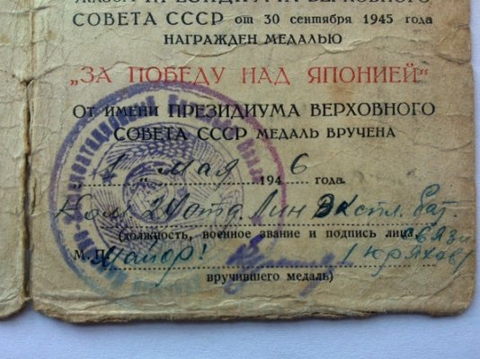 3949080.jpg