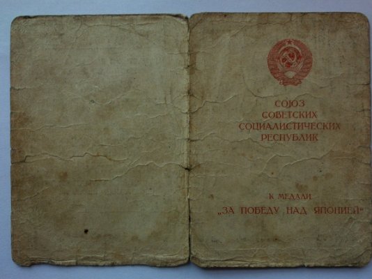 3949081.jpg