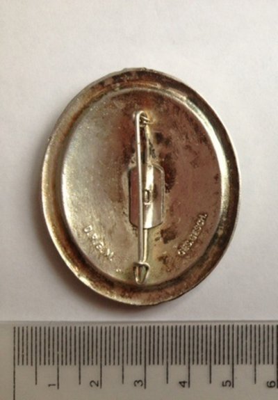 22.Знак участника немецкого фронта с мечами. 8 500.jpg
