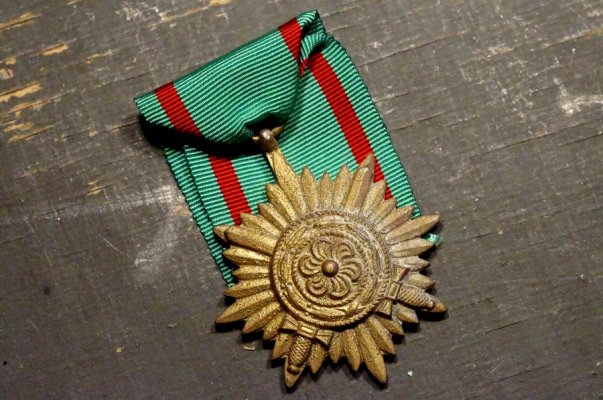 ostvolkmedaillegolddeumer3377.JPG