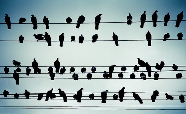 107459815_music1.jpg
