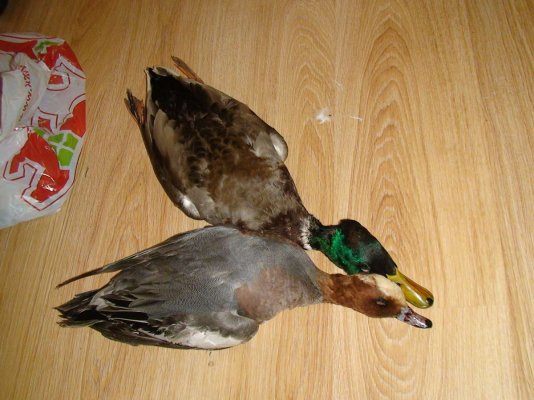 Селизни-и-Бекас2.jpg