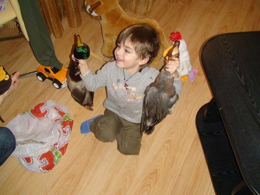 Селизни-и-Бекас3.jpg