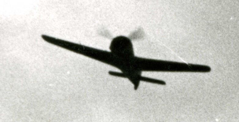 2120.jpg