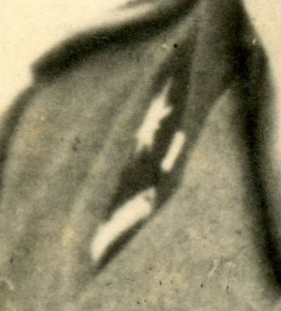 SS02.jpg