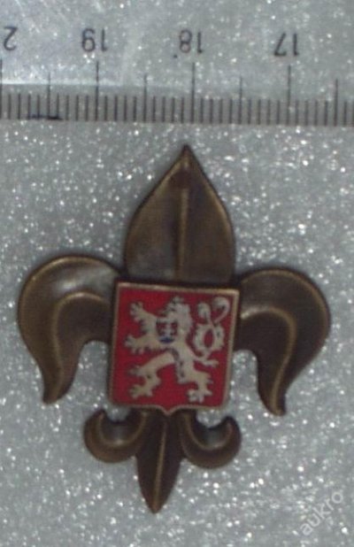3906806365.jpg
