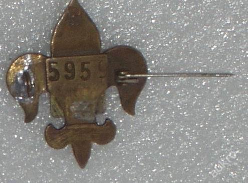 3906806365_1.jpg