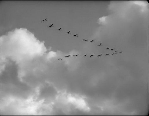 original_1368706099.jpg