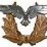 BSG57