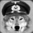SKY MARSHAL